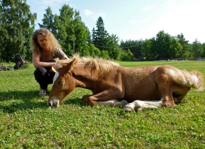 P1030233varsa2 With a foal in Tihune, 7/2011