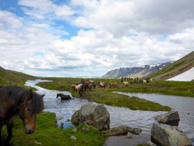 Successfully crossing a stream turned surprise river not far from lake Myvatn (©Philip Dean)